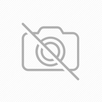 Vijak s šetrobo glavo A2 SSZ10x20E A2